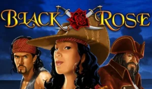 black rose pokie game online