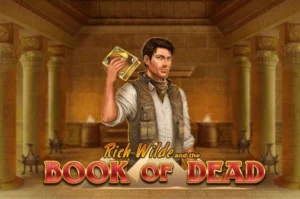 book of dead pokie logo